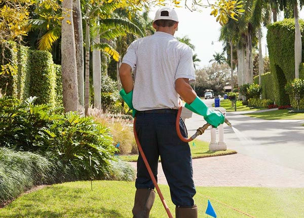 About Woodmere NY Pest Control Pros